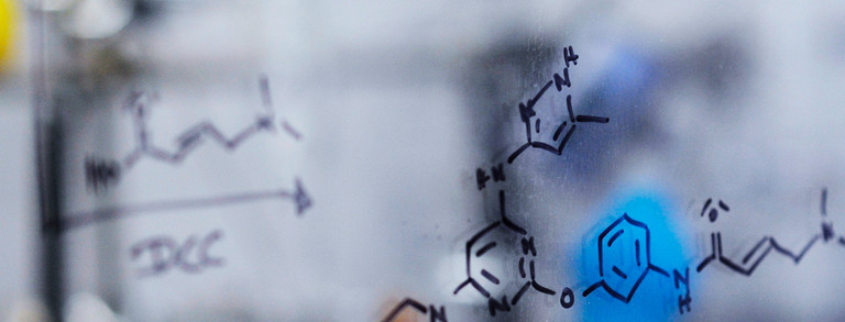 Laboratry detailed view of a board with formulars on it